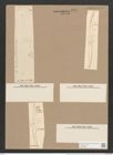 Pleurosigma decorum var. dalmaticum Grun. (de-Toni-Nr.: Genus 13, Species 1041) Zeichnungen Sammlung Grunow Nr. 2099 (NHMW-BOT-W0368971)
